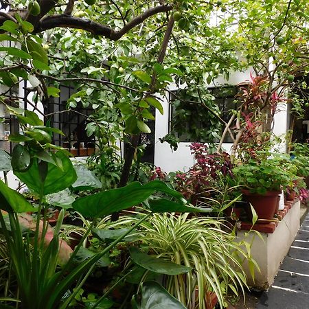 María Bonita by Rotamundos Hotel Taxco de Alarcon Exterior foto